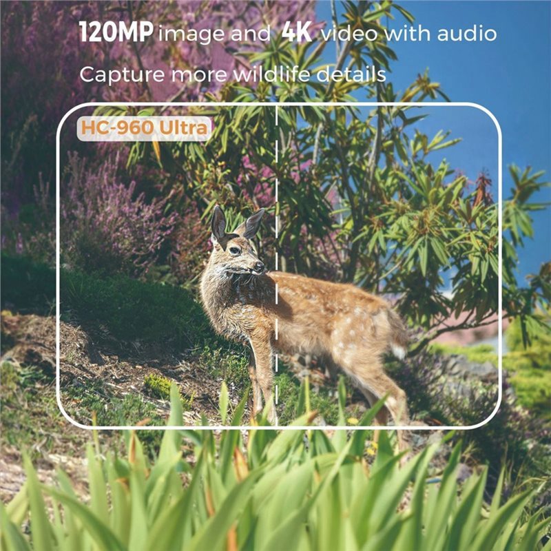 Y47A Outdoor 4G 120MP 4K Live  - Hunting And Outdoor Shows ulasan dan harga