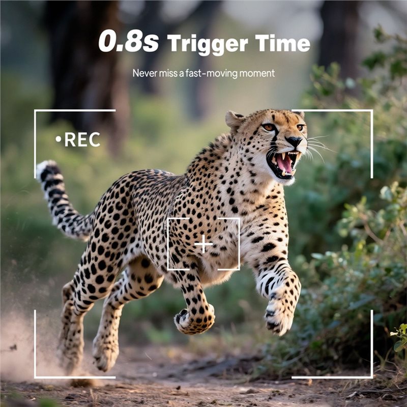 Outdoor Trail Hunting Camera 1 - Trail Camera Infrared ulasan dan harga